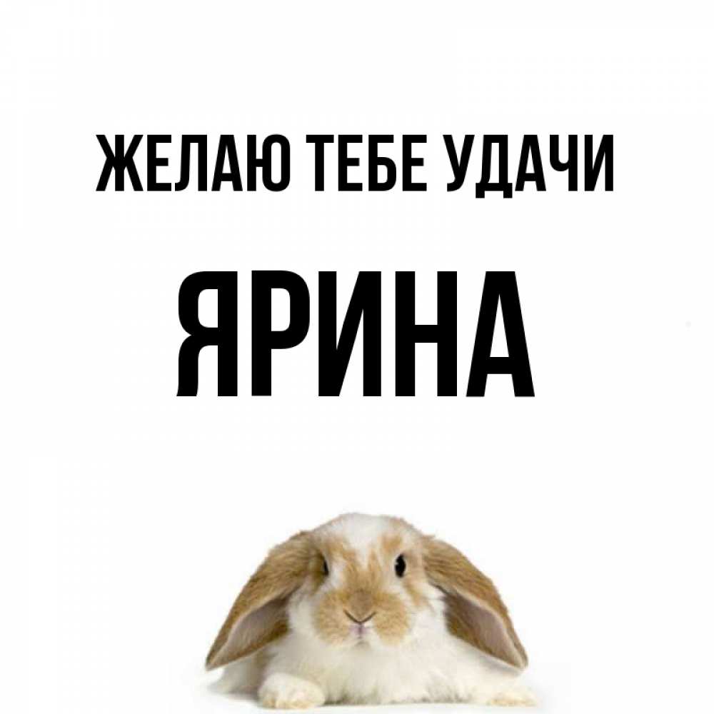 Открытка на каждый день с именем, Ярина Желаю тебе удачи открытки с произвольным текстом который можно вставить в открытку и создать ее самостоятельно бесплатно онлайн Прикольная открытка с пожеланием онлайн скачать бесплатно 