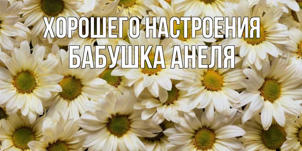 Открытка на каждый день с именем, Бабушка-Анеля Хорошего настроения крупные ромашки Прикольная открытка с пожеланием онлайн скачать бесплатно 