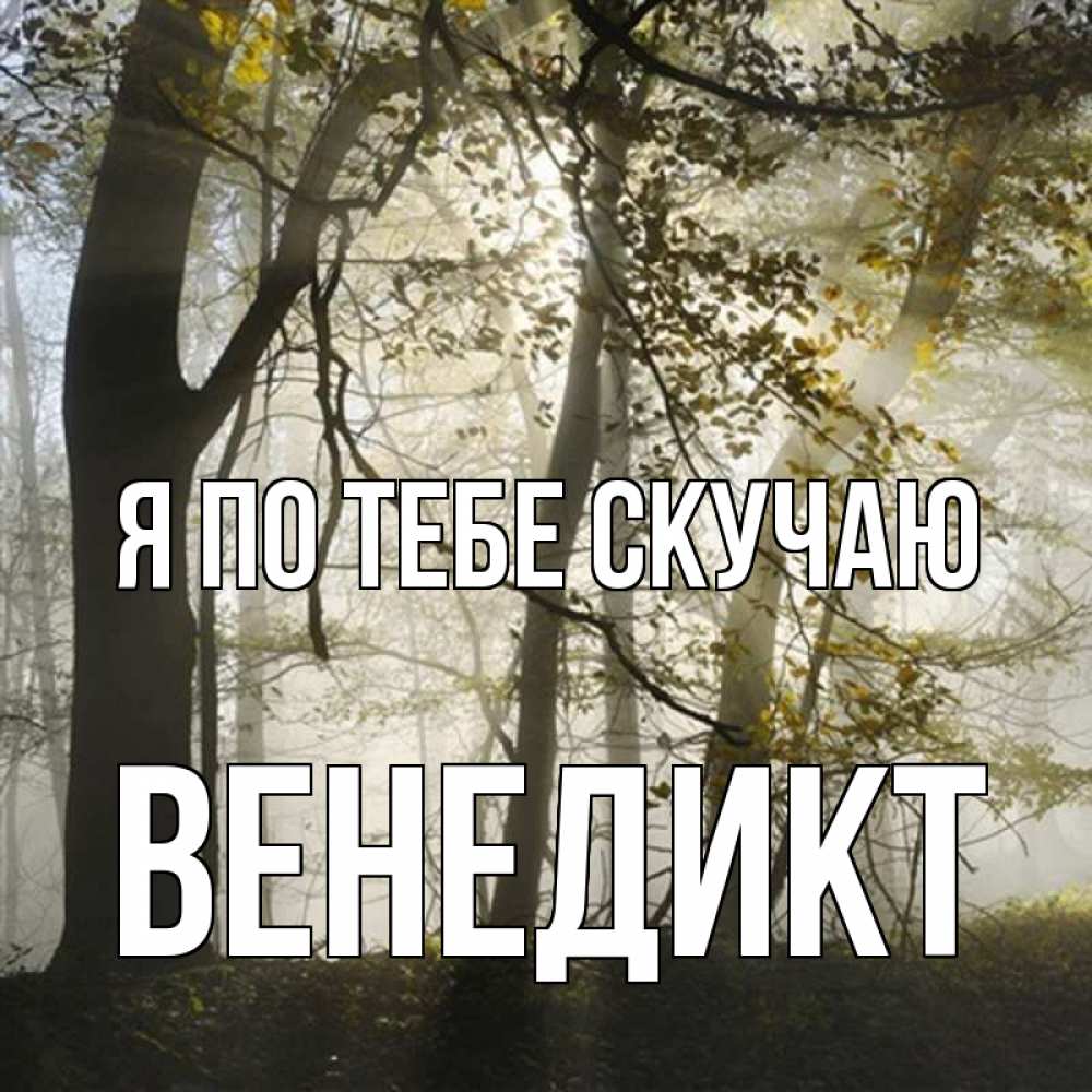 Открытка на каждый день с именем, Венедикт Я по тебе скучаю грустно Прикольная открытка с пожеланием онлайн скачать бесплатно 