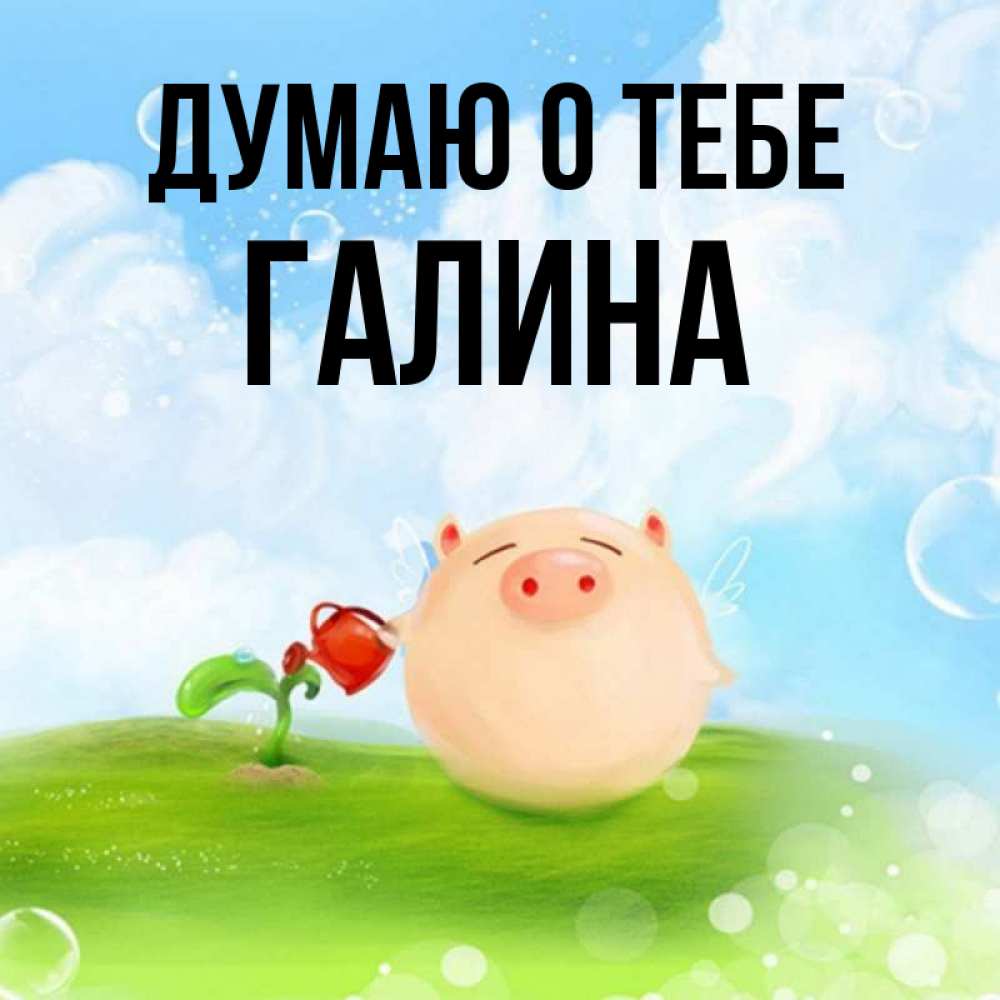 Открытка на каждый день с именем, Галина Думаю о тебе позитивная свинюшка Прикольная открытка с пожеланием онлайн скачать бесплатно 