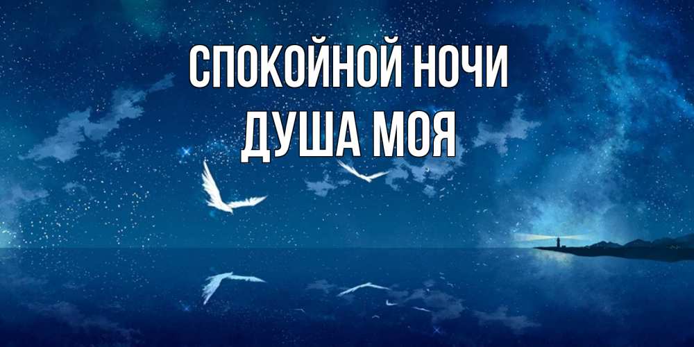 Открытка на каждый день с именем, Душа-моя Спокойной ночи птицы летят на фоне ночного неба Прикольная открытка с пожеланием онлайн скачать бесплатно 