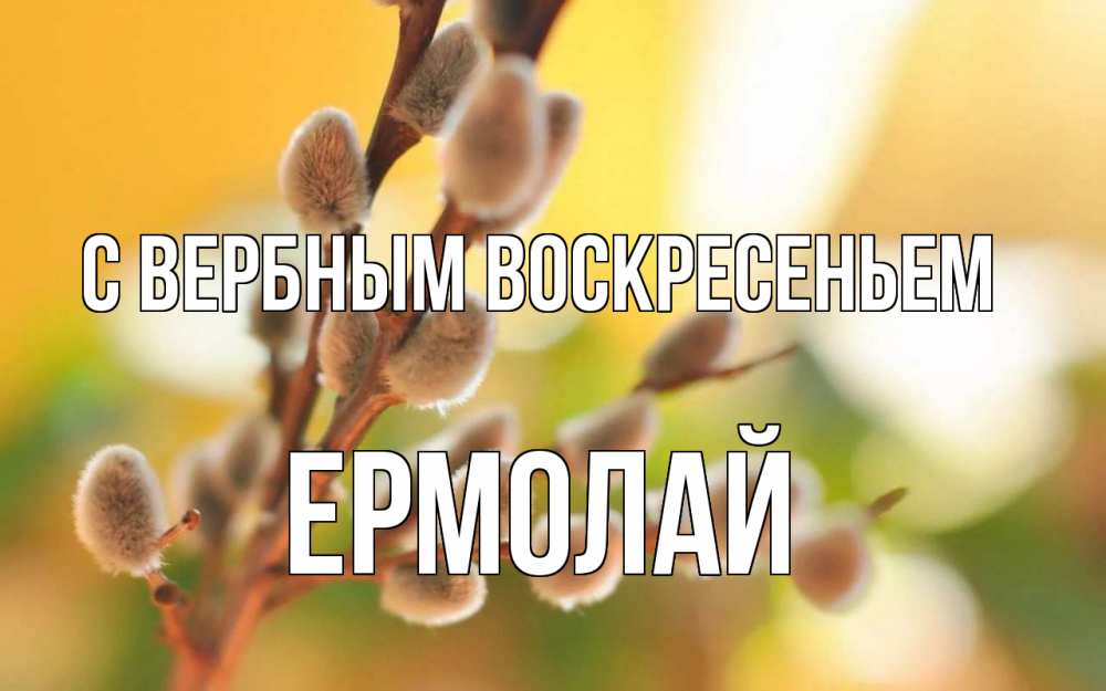 Открытка на каждый день с именем, Ермолай С вербным воскресеньем верба Прикольная открытка с пожеланием онлайн скачать бесплатно 