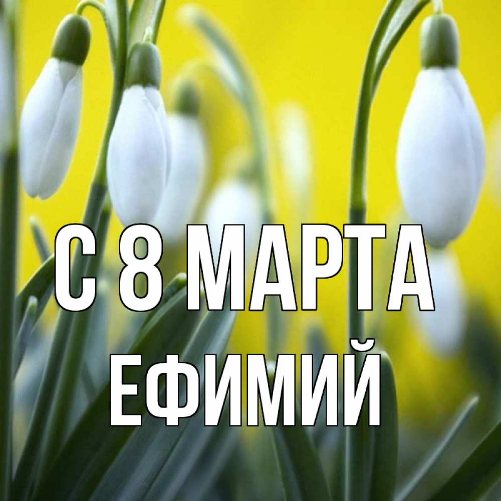 Открытка на каждый день с именем, Ефимий С 8 МАРТА весенние цветы Прикольная открытка с пожеланием онлайн скачать бесплатно 