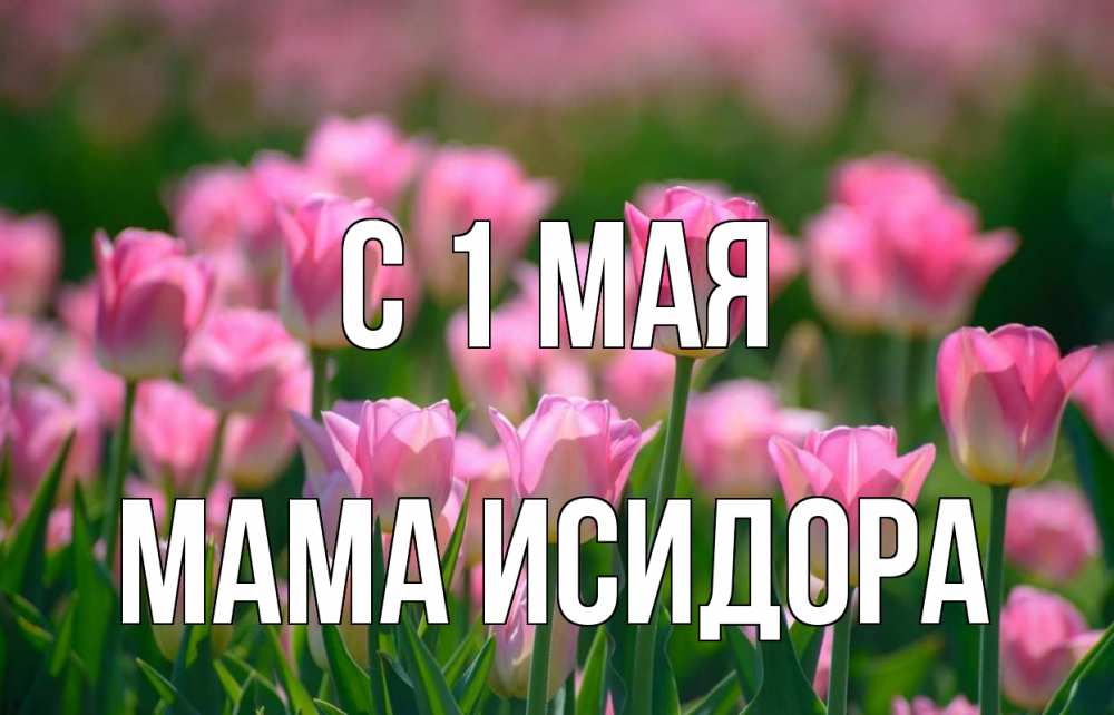 Открытка на каждый день с именем, Мама-Исидора С 1 мая С 1 мая Прикольная открытка с пожеланием онлайн скачать бесплатно 