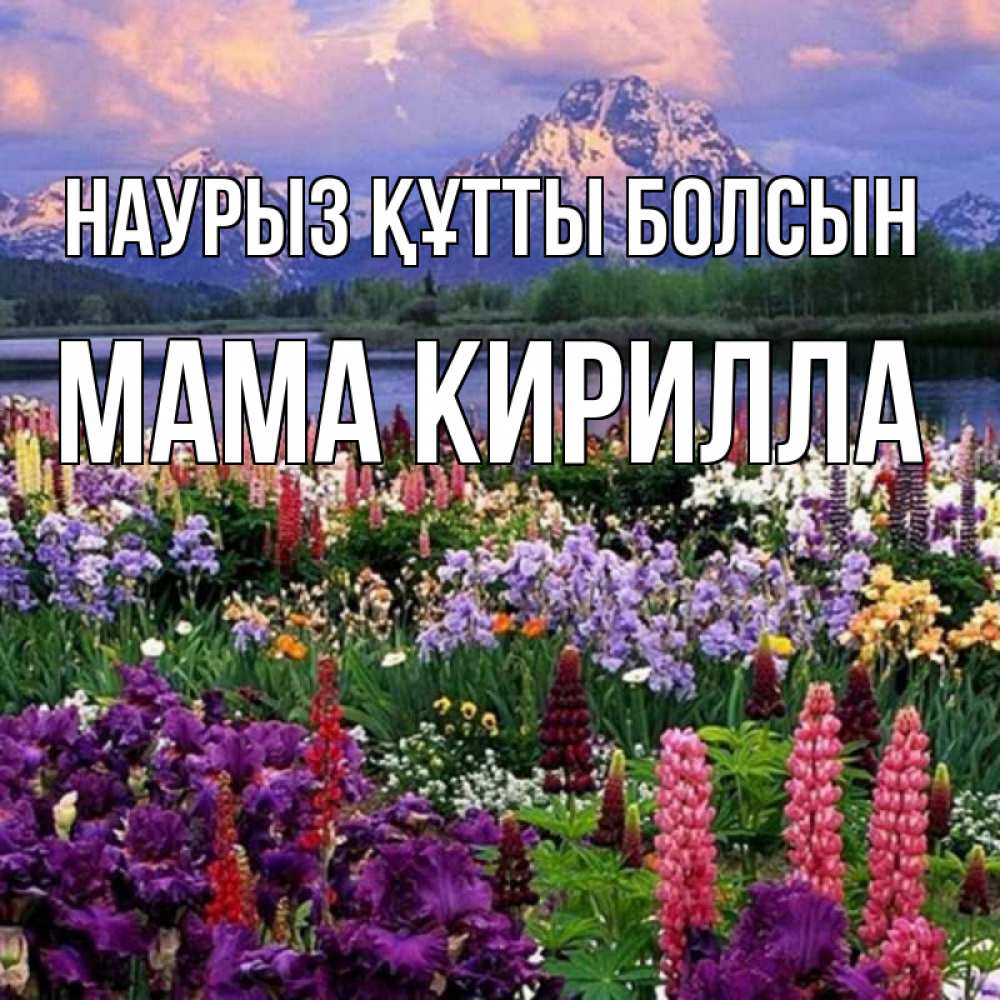 Открытка на каждый день с именем, Мама-Кирилла Наурыз құтты болсын наурыз Прикольная открытка с пожеланием онлайн скачать бесплатно 