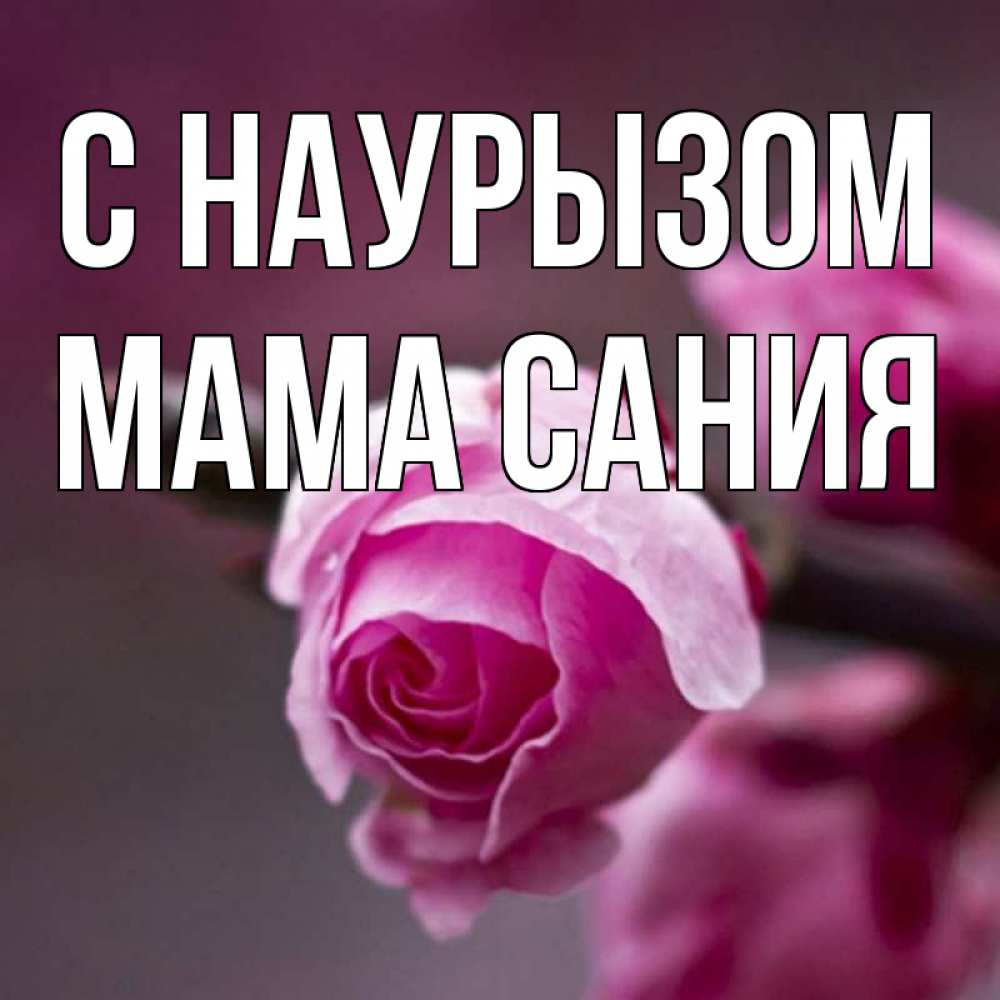 Открытка на каждый день с именем, Мама-Сания С наурызом весна Прикольная открытка с пожеланием онлайн скачать бесплатно 
