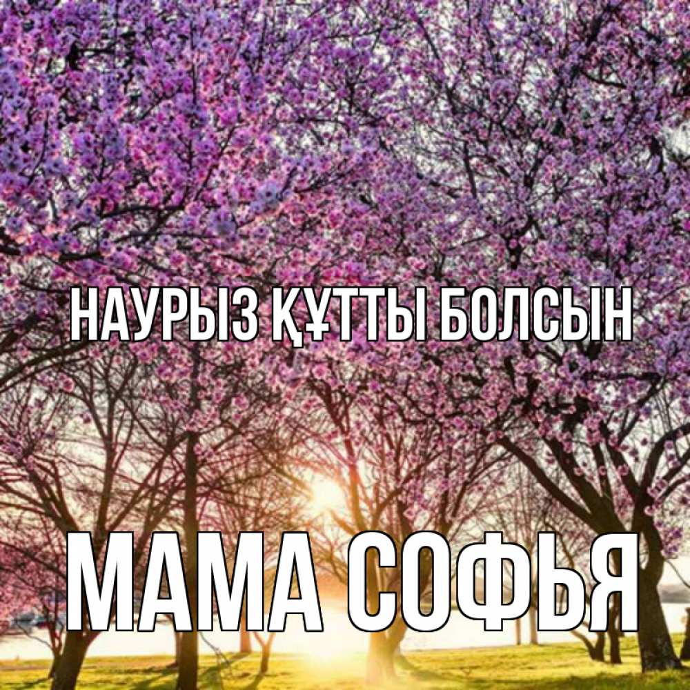 Открытка на каждый день с именем, Мама-Софья Наурыз құтты болсын наурыз Прикольная открытка с пожеланием онлайн скачать бесплатно 