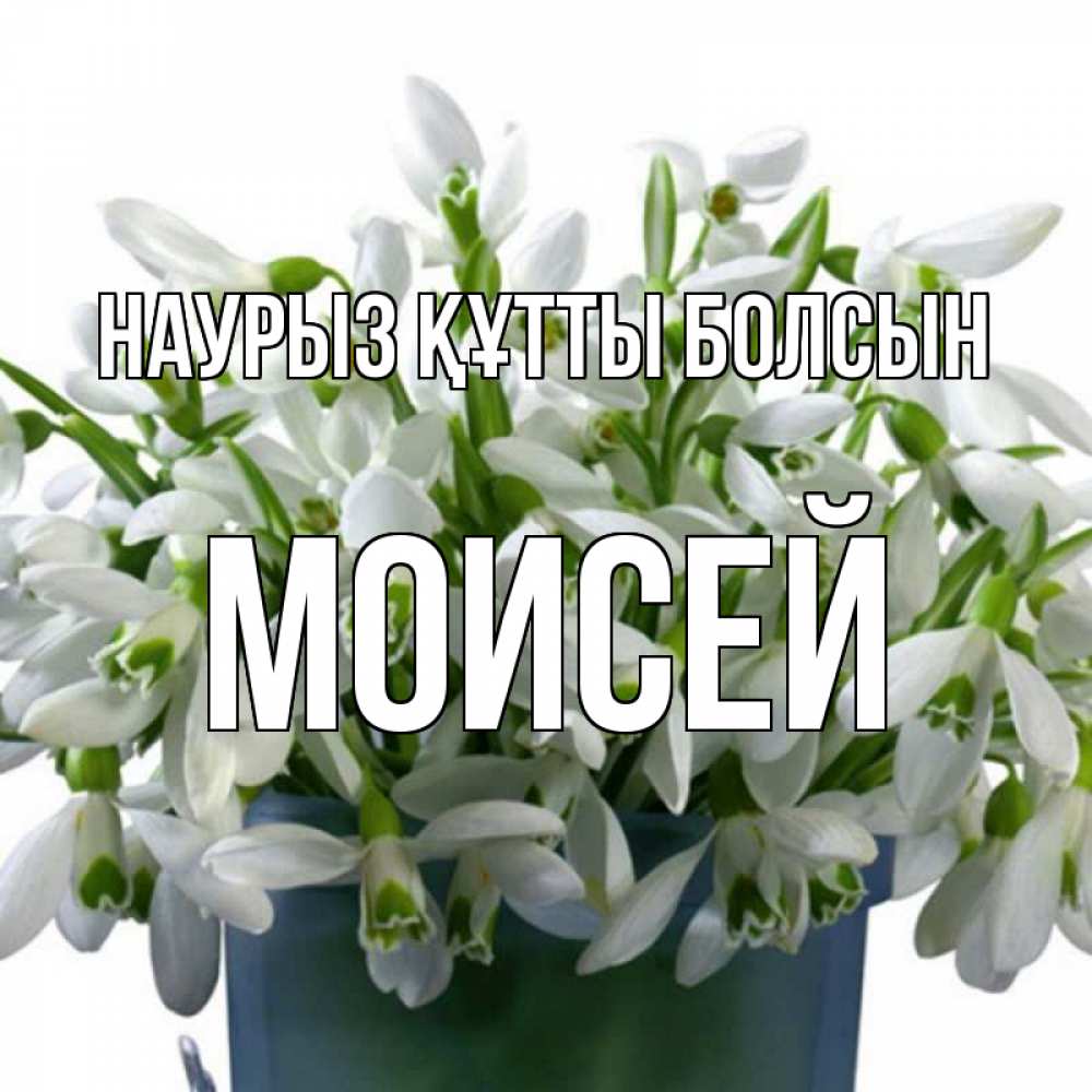 Открытка на каждый день с именем, Моисей Наурыз құтты болсын цветы к наурызу Прикольная открытка с пожеланием онлайн скачать бесплатно 