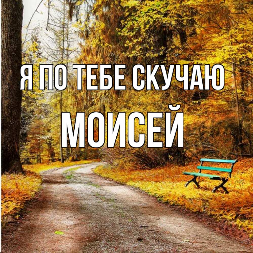 Открытка на каждый день с именем, Моисей Я по тебе скучаю зеленая лавочка и осенний лес Прикольная открытка с пожеланием онлайн скачать бесплатно 