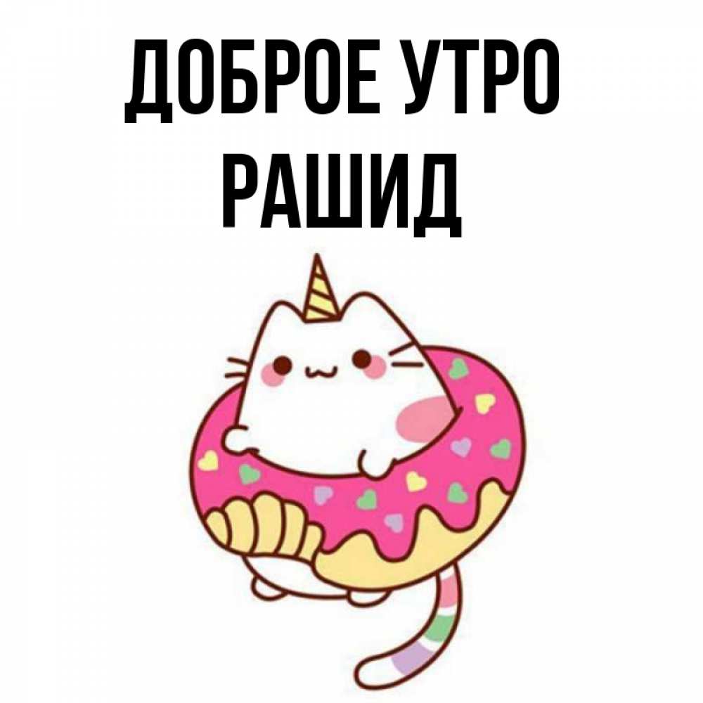 Открытка на каждый день с именем, Рашид Доброе утро кот в бублике Прикольная открытка с пожеланием онлайн скачать бесплатно 