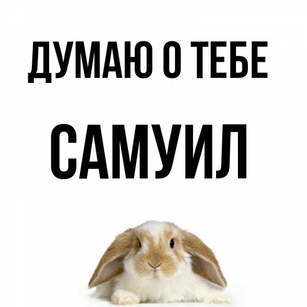 Открытка на каждый день с именем, Самуил Думаю о тебе подписать своими руками онлайн Прикольная открытка с пожеланием онлайн скачать бесплатно 