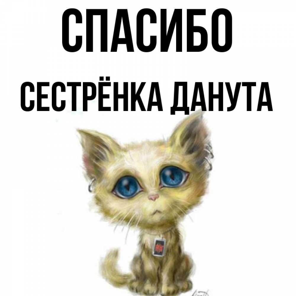 Открытка на каждый день с именем, Сестрёнка-Данута Спасибо рисованный кот благодарит вас Прикольная открытка с пожеланием онлайн скачать бесплатно 