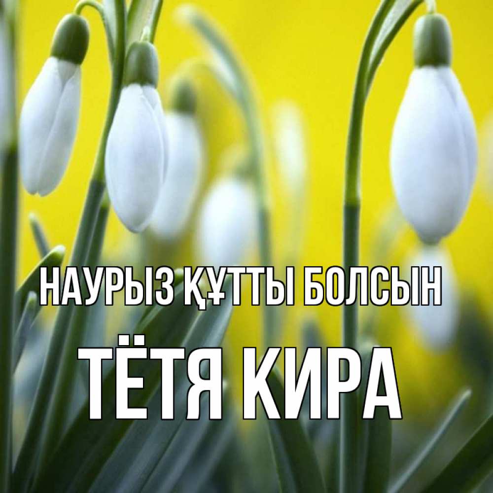 Открытка на каждый день с именем, Тётя-Кира Наурыз құтты болсын весенние цветы Прикольная открытка с пожеланием онлайн скачать бесплатно 