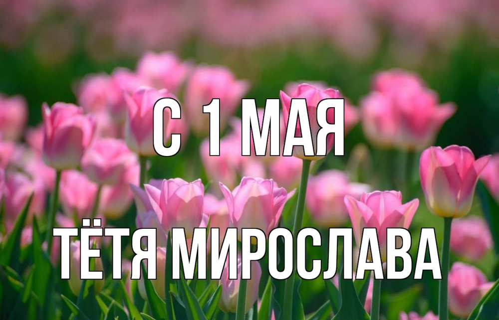 Открытка на каждый день с именем, Тётя-Мирослава С 1 мая С 1 мая Прикольная открытка с пожеланием онлайн скачать бесплатно 