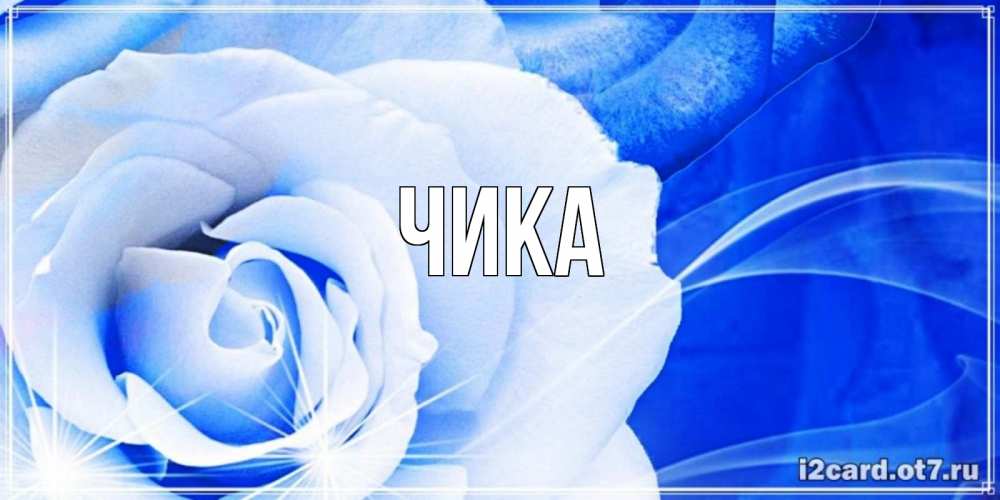 Открытка на каждый день с именем, Чика Главная белая роза на голубом фоне Прикольная открытка с пожеланием онлайн скачать бесплатно 