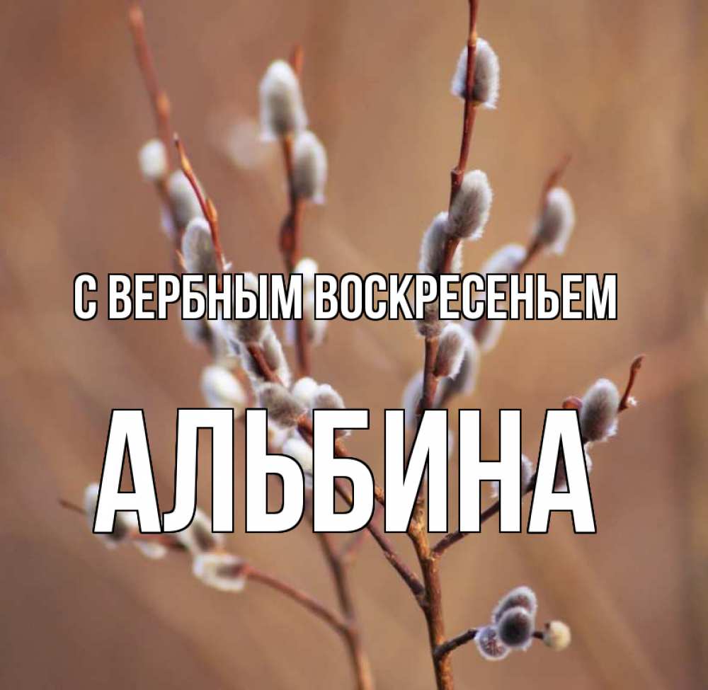 Открытка на каждый день с именем, Альбина С вербным воскресеньем верба Прикольная открытка с пожеланием онлайн скачать бесплатно 
