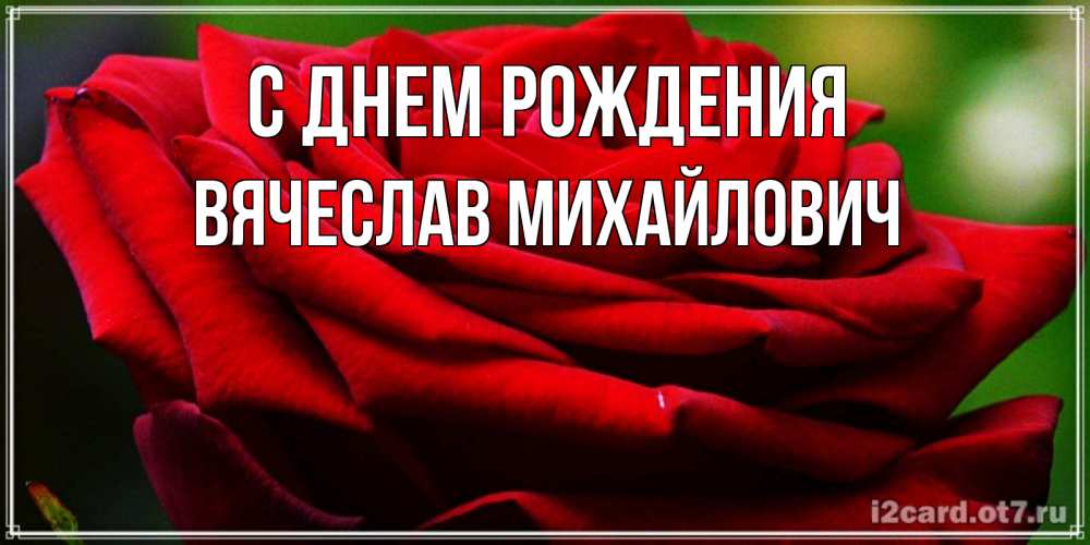 Открытка на каждый день с именем, Вячеслав-Михайлович С днем рождения розочка очень красивая Прикольная открытка с пожеланием онлайн скачать бесплатно 