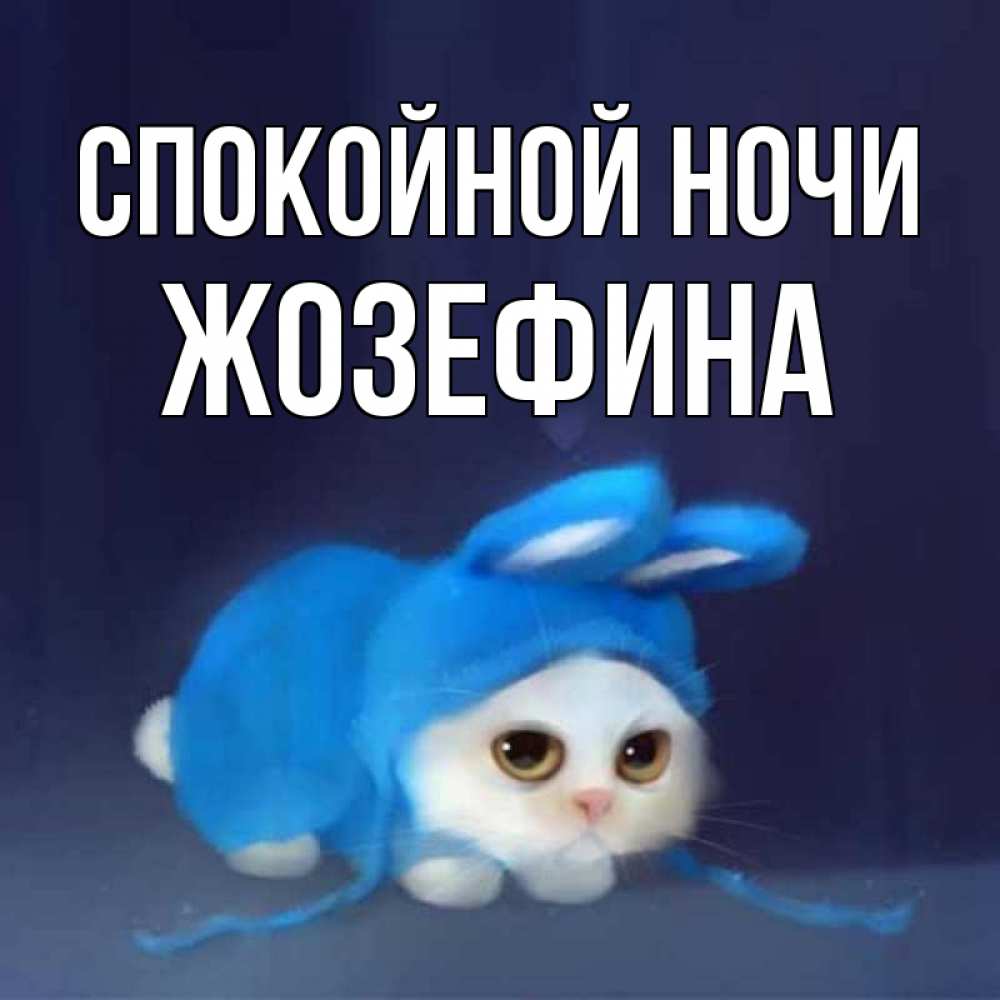 Открытка на каждый день с именем, Жозефина Спокойной ночи кот в голубом костюме кролика с ушками Прикольная открытка с пожеланием онлайн скачать бесплатно 