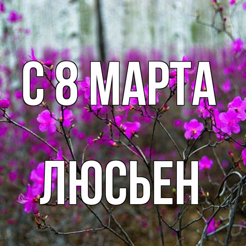 Открытка на каждый день с именем, Люсьен С 8 марта дикие цветы Прикольная открытка с пожеланием онлайн скачать бесплатно 