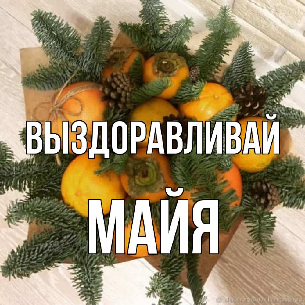 Открытка на каждый день с именем, Майя Выздоравливай апельсины и хурьма Прикольная открытка с пожеланием онлайн скачать бесплатно 
