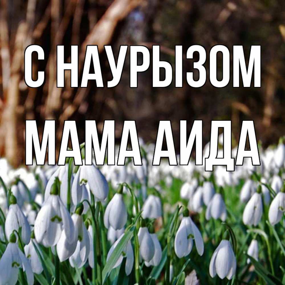 Открытка на каждый день с именем, Мама-Аида С наурызом с подснежниками 1 Прикольная открытка с пожеланием онлайн скачать бесплатно 