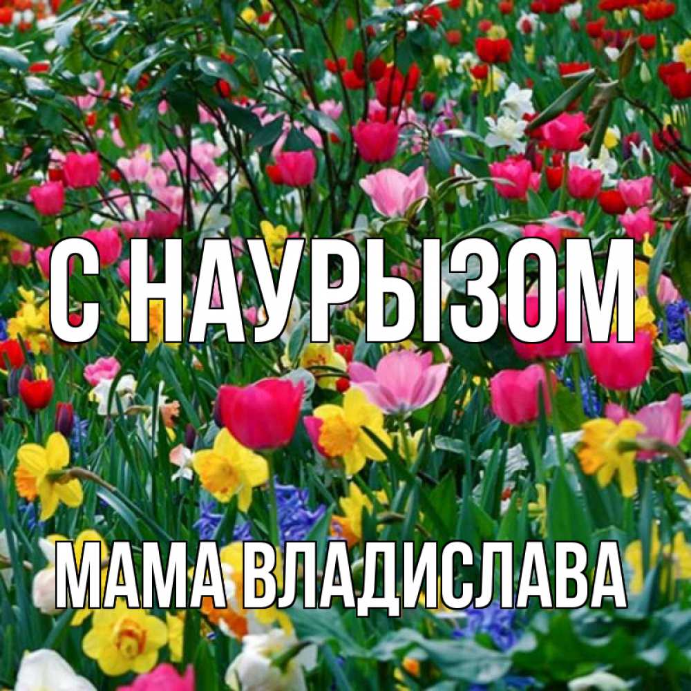 Открытка на каждый день с именем, Мама-Владислава С наурызом с наурызом праздником весны поздравления для женщины Прикольная открытка с пожеланием онлайн скачать бесплатно 