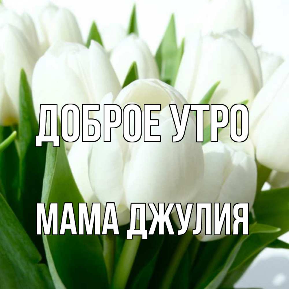 Открытка на каждый день с именем, Мама-Джулия Доброе утро открытки на каждый день по именам Прикольная открытка с пожеланием онлайн скачать бесплатно 