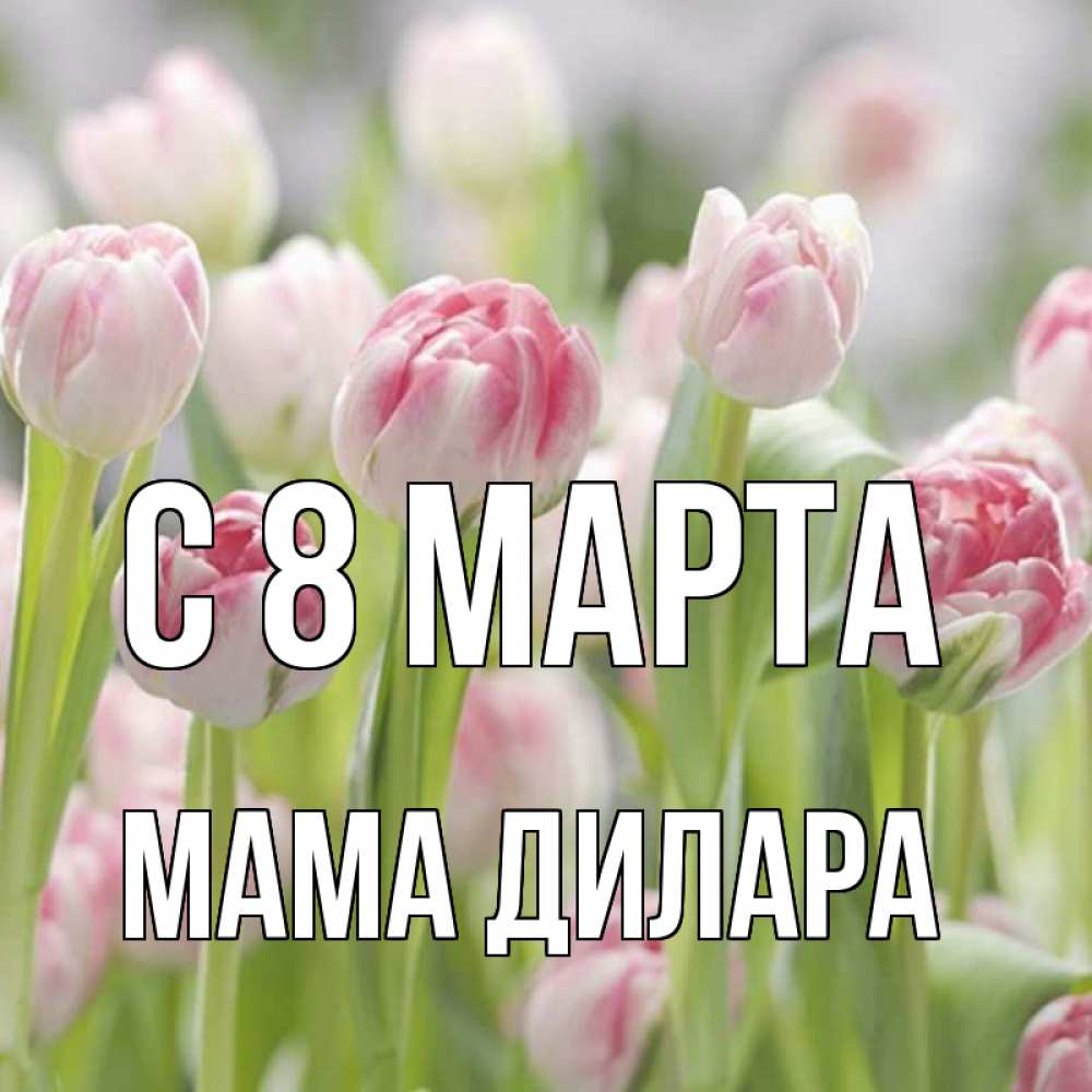 Открытка на каждый день с именем, Мама-Дилара С 8 марта цветы Прикольная открытка с пожеланием онлайн скачать бесплатно 
