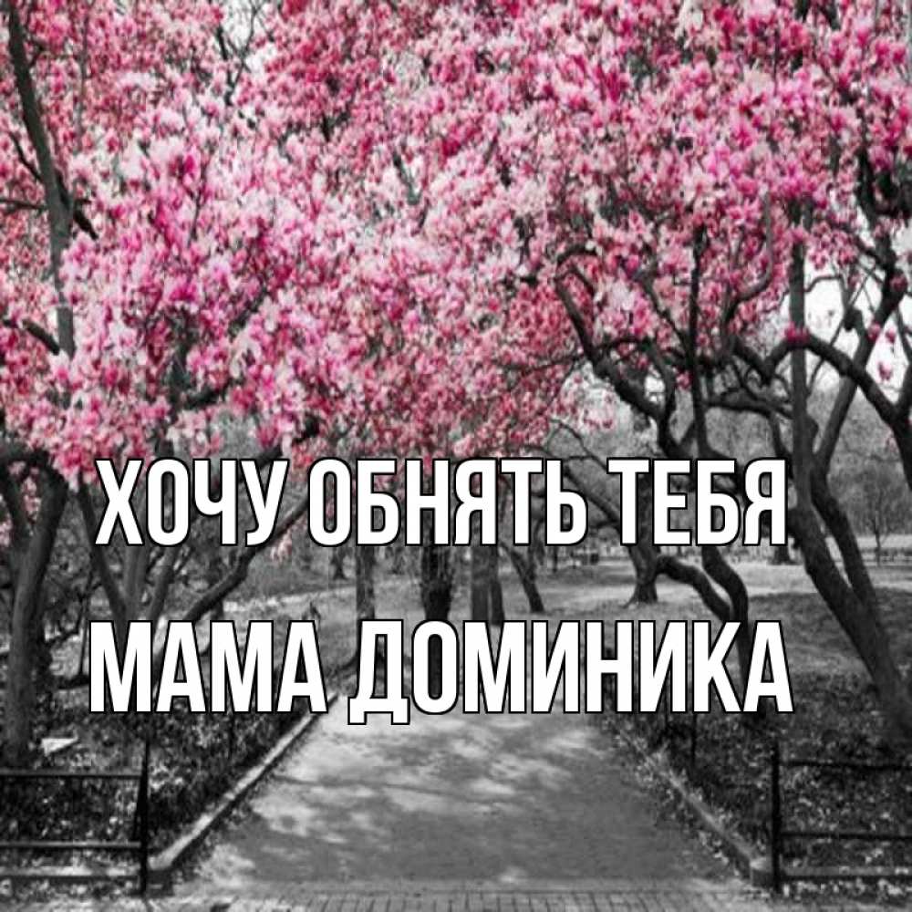 Открытка на каждый день с именем, Мама-Доминика Хочу обнять тебя обработанное фото Прикольная открытка с пожеланием онлайн скачать бесплатно 