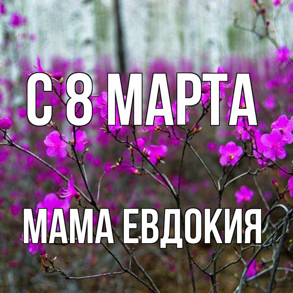Открытка на каждый день с именем, Мама-Евдокия С 8 марта дикие цветы Прикольная открытка с пожеланием онлайн скачать бесплатно 