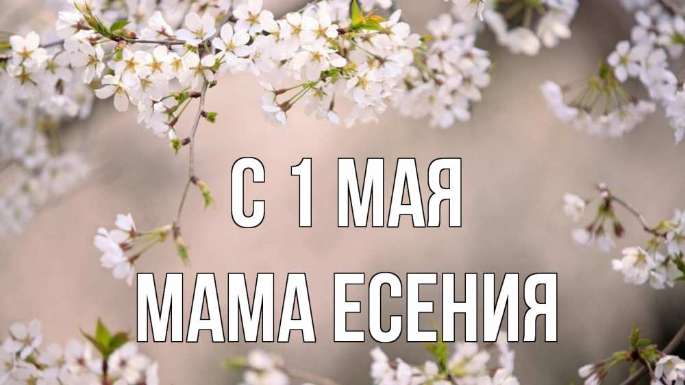 Открытка на каждый день с именем, Мама-Есения С 1 мая С 1 мая Прикольная открытка с пожеланием онлайн скачать бесплатно 