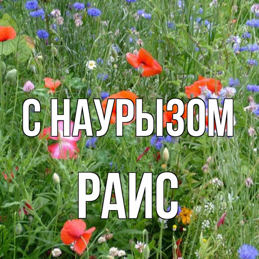 Открытка на каждый день с именем, Раис С наурызом праздник весны наурыз супер открытка Прикольная открытка с пожеланием онлайн скачать бесплатно 