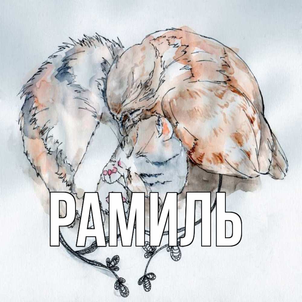Открытка на каждый день с именем, Рамиль Главная можно быть вместе даже когда очень разные Прикольная открытка с пожеланием онлайн скачать бесплатно 