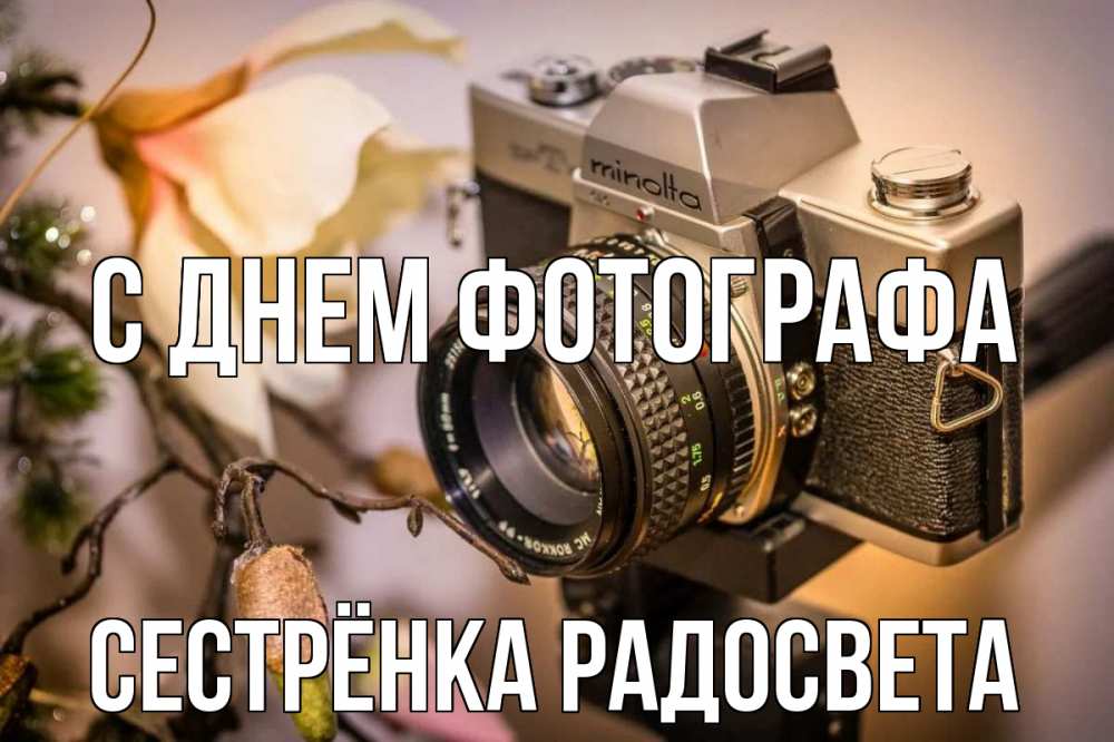 Открытка на каждый день с именем, Сестрёнка-Радосвета С днем фотографа с днем фотографа 1 Прикольная открытка с пожеланием онлайн скачать бесплатно 