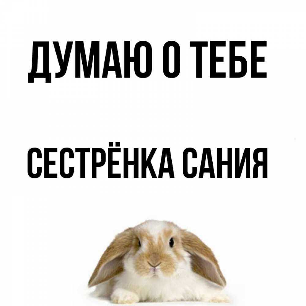 Открытка на каждый день с именем, Сестрёнка-Сания Думаю о тебе подписать своими руками онлайн Прикольная открытка с пожеланием онлайн скачать бесплатно 
