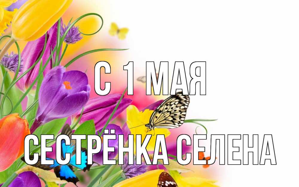 Открытка на каждый день с именем, Сестрёнка-Селена С 1 мая С 1 мая Прикольная открытка с пожеланием онлайн скачать бесплатно 