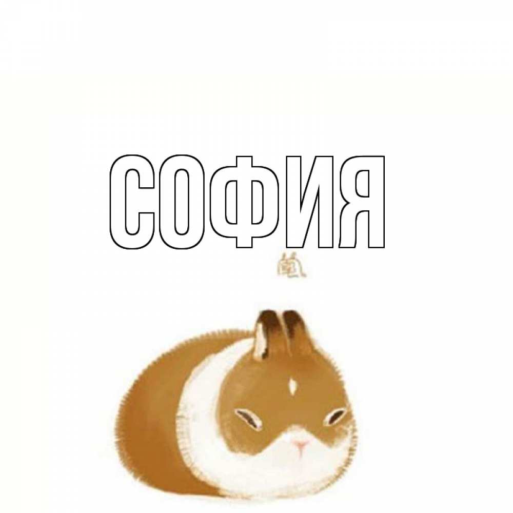 Открытка на каждый день с именем, София Главная хорошего утречка Прикольная открытка с пожеланием онлайн скачать бесплатно 
