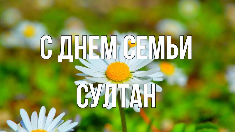 Открытка на каждый день с именем, Султан С днем семьи с днем семьи Прикольная открытка с пожеланием онлайн скачать бесплатно 