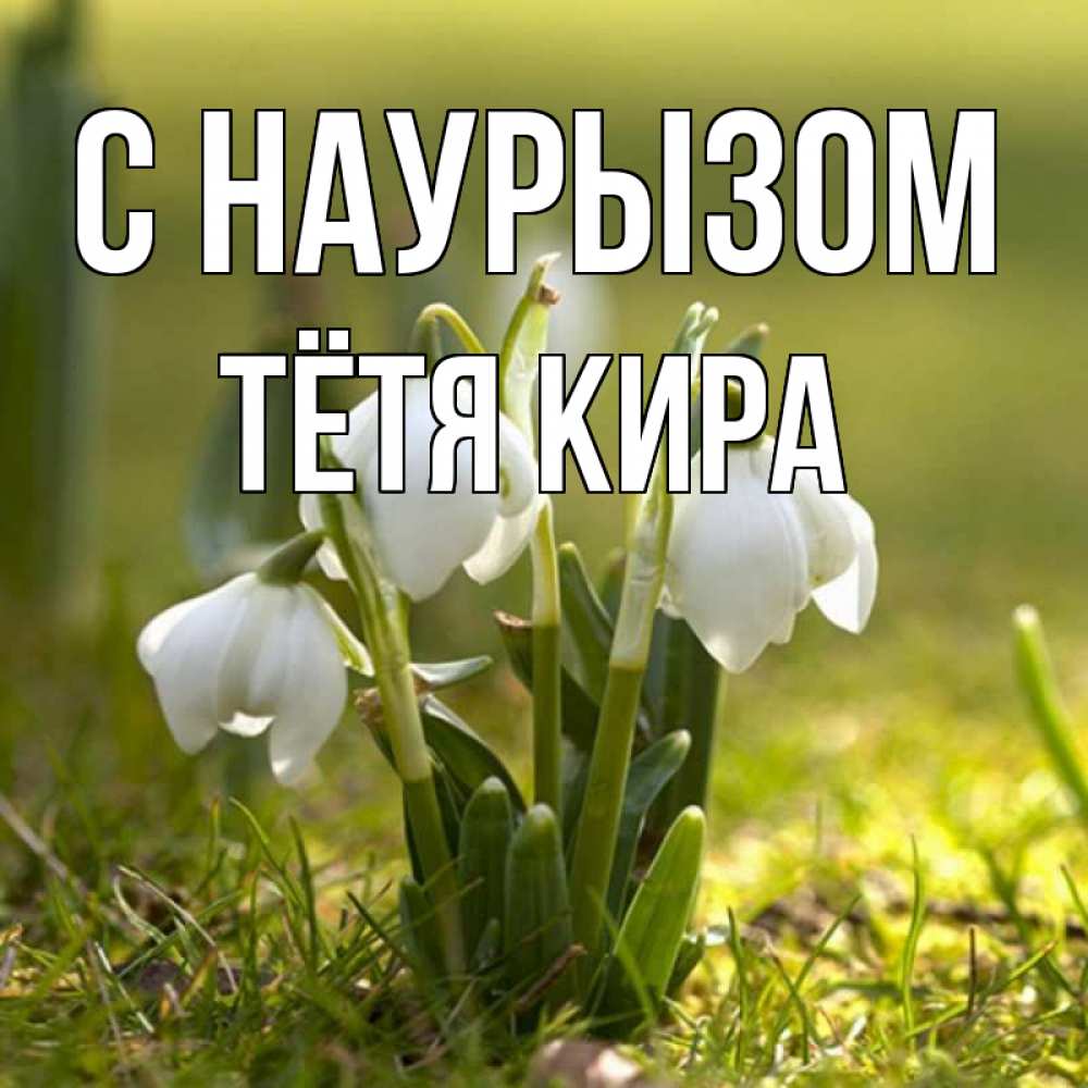 Открытка на каждый день с именем, Тётя-Кира С наурызом ранние цветы 2 Прикольная открытка с пожеланием онлайн скачать бесплатно 