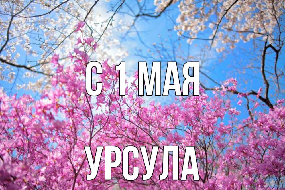 Открытка на каждый день с именем, Урсула С 1 мая С 1 мая Прикольная открытка с пожеланием онлайн скачать бесплатно 