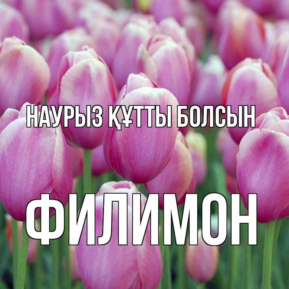 Открытка на каждый день с именем, Филимон Наурыз құтты болсын на наурыз  день 3 Прикольная открытка с пожеланием онлайн скачать бесплатно 