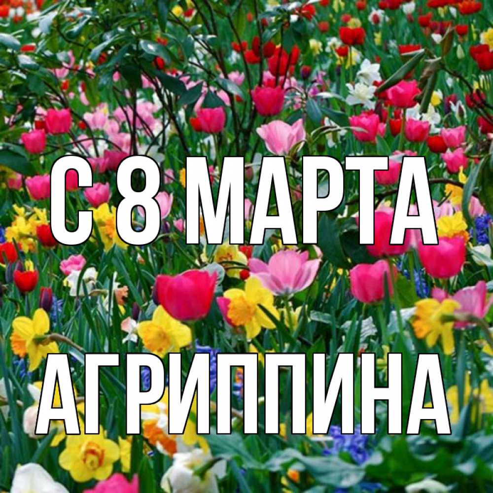 Открытка на каждый день с именем, Агриппина С 8 МАРТА с международным женским днем поздравления для женщины Прикольная открытка с пожеланием онлайн скачать бесплатно 