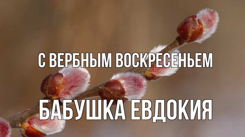 Открытка на каждый день с именем, Бабушка-Евдокия С вербным воскресеньем верба Прикольная открытка с пожеланием онлайн скачать бесплатно 