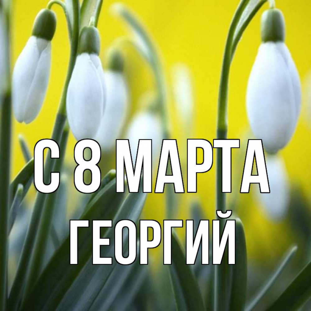 Открытка на каждый день с именем, Георгий С 8 марта весенние цветы Прикольная открытка с пожеланием онлайн скачать бесплатно 