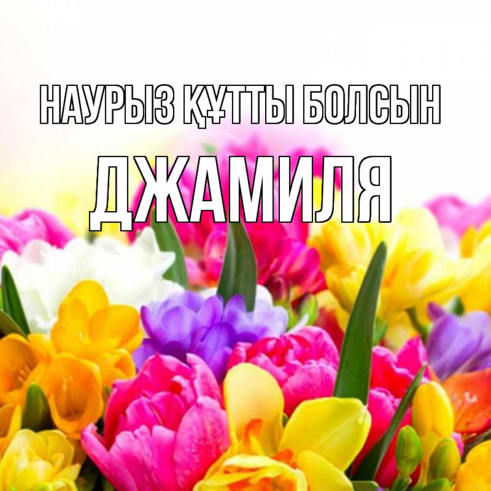 Открытка на каждый день с именем, Джамиля Наурыз құтты болсын тюльпаны Прикольная открытка с пожеланием онлайн скачать бесплатно 