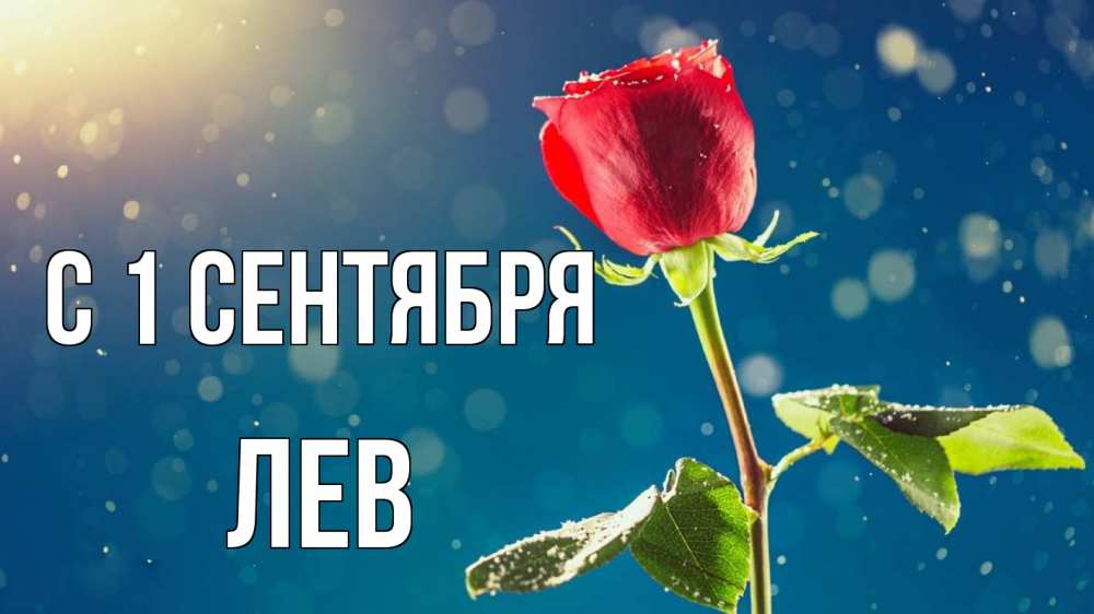 Открытка на каждый день с именем, Лев С 1 сентября с днем знаний Прикольная открытка с пожеланием онлайн скачать бесплатно 