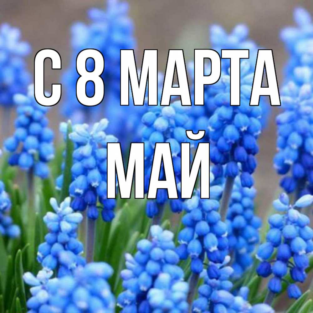 Открытка на каждый день с именем, Май С 8 МАРТА Поздравительная открытка для женщин с цветами на праздничную дату Прикольная открытка с пожеланием онлайн скачать бесплатно 