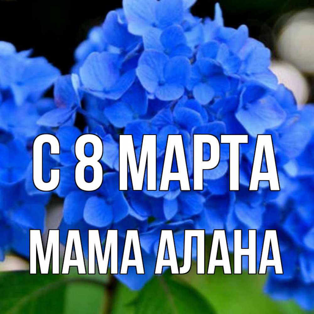Открытка на каждый день с именем, Мама-Алана С 8 МАРТА синие цветы Прикольная открытка с пожеланием онлайн скачать бесплатно 