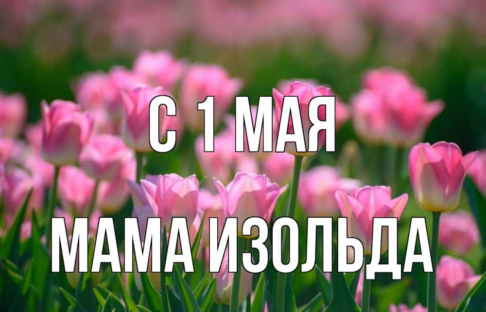 Открытка на каждый день с именем, Мама-Изольда С 1 мая С 1 мая Прикольная открытка с пожеланием онлайн скачать бесплатно 