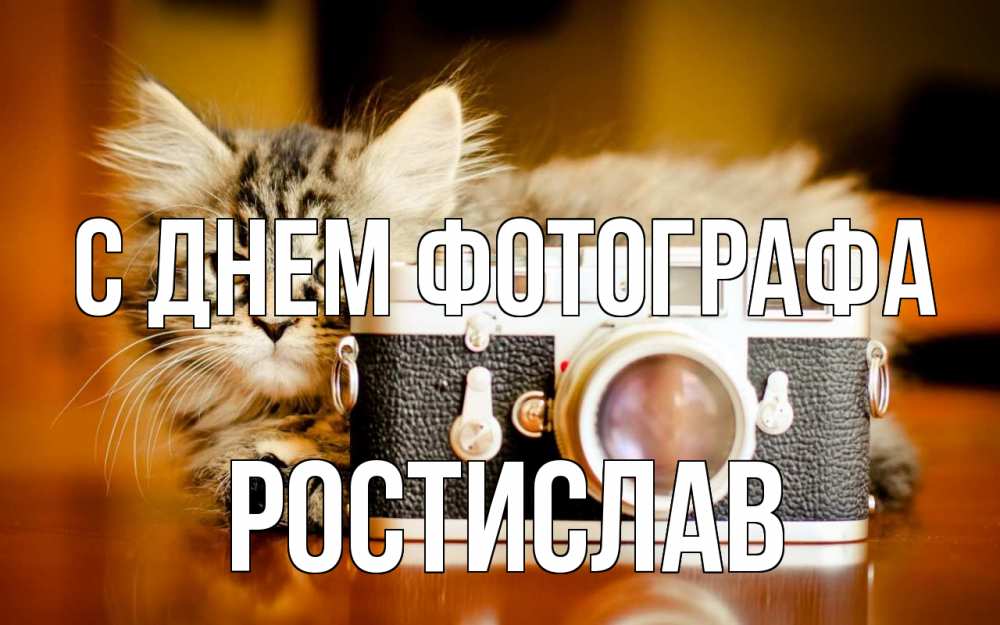 Открытка на каждый день с именем, Ростислав С днем фотографа с днем фотографа Прикольная открытка с пожеланием онлайн скачать бесплатно 